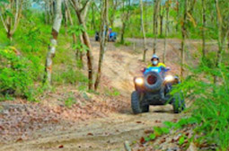 Adventure: Buggy or ATV Half Day Tour from Pattaya